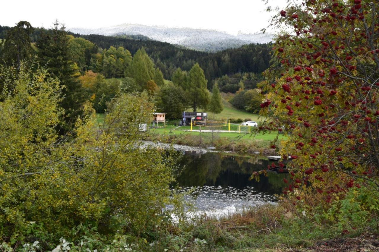 Ferienwohnung Familie Pichler Neumarkt in Steiermark 外观 照片