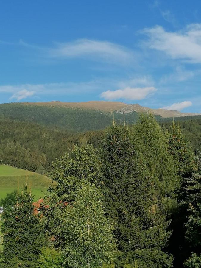 Ferienwohnung Familie Pichler Neumarkt in Steiermark 外观 照片