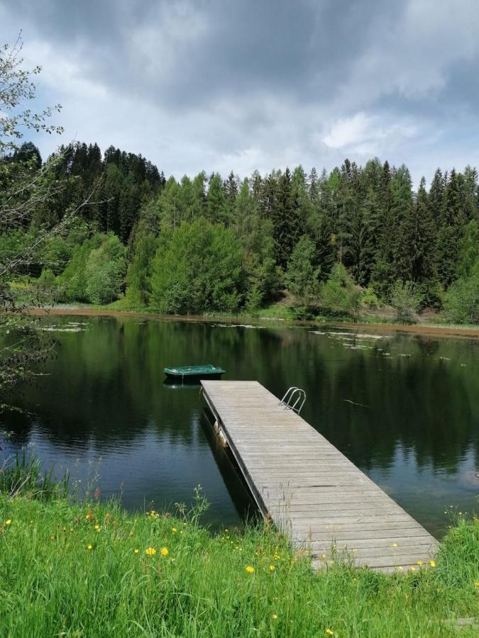 Ferienwohnung Familie Pichler Neumarkt in Steiermark 外观 照片